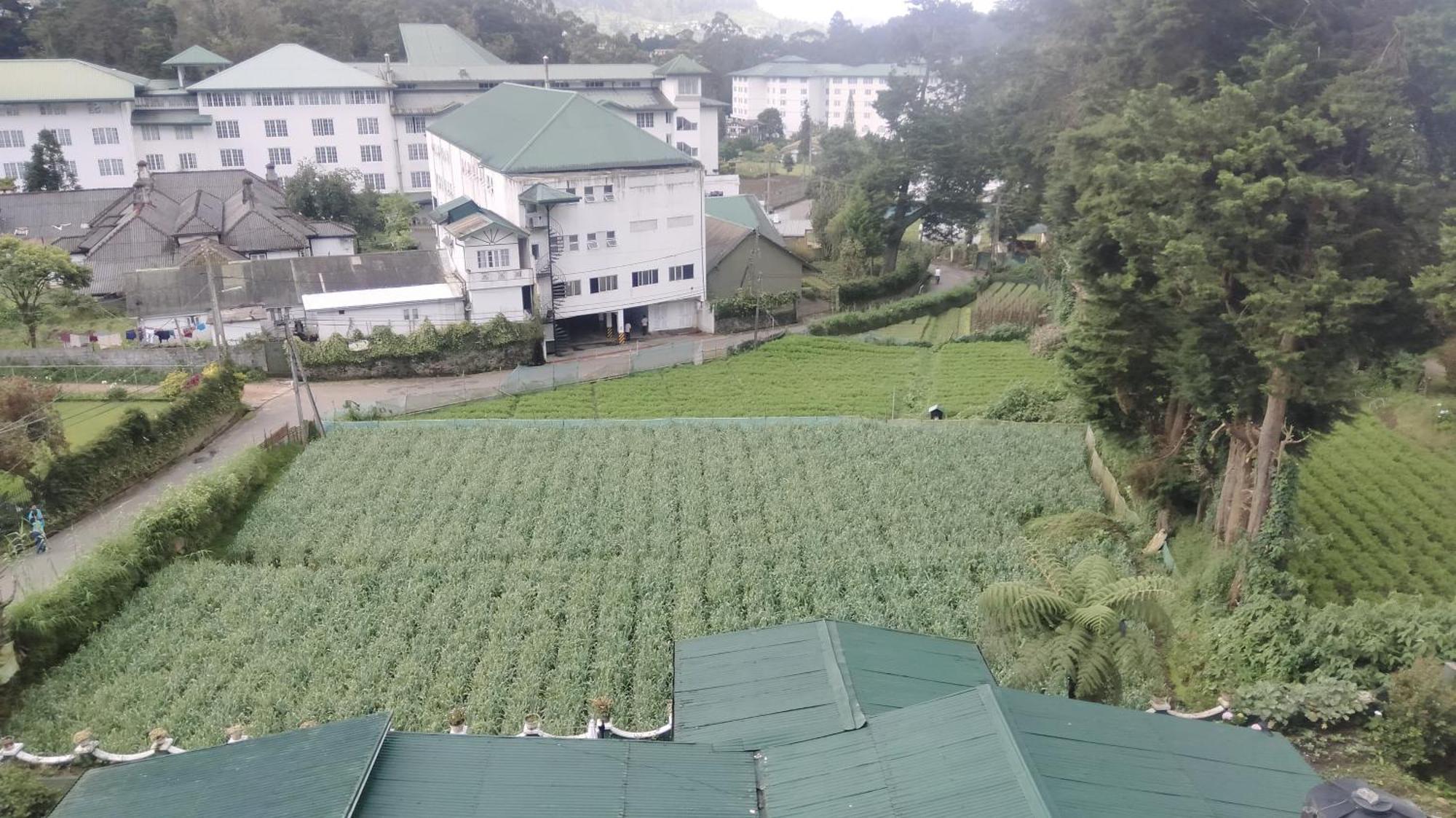 Nuwara Eliya Luxury Apartment Luaran gambar